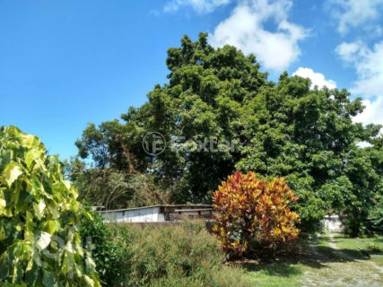 Image 4 - 1037686
