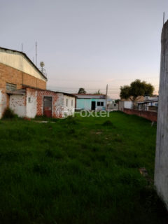 Image 0 - 1037725