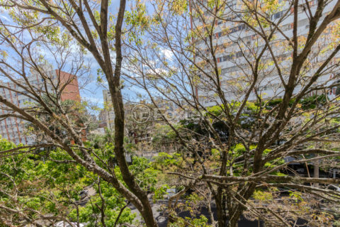 Image 12 - 1037902
