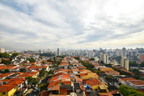 Image 36 - 1038078