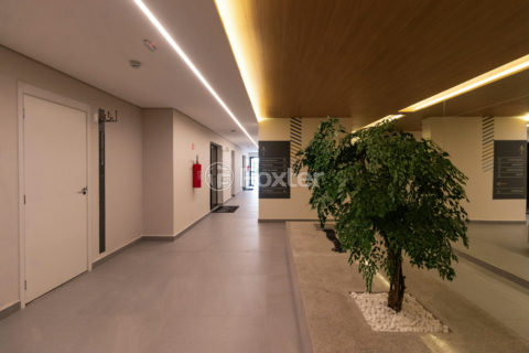 Image 33 - 1038079