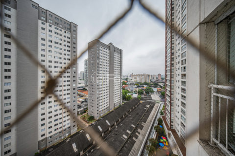 Image 31 - 1038265