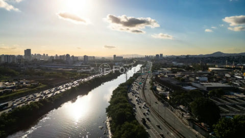 Image 47 - 1038266