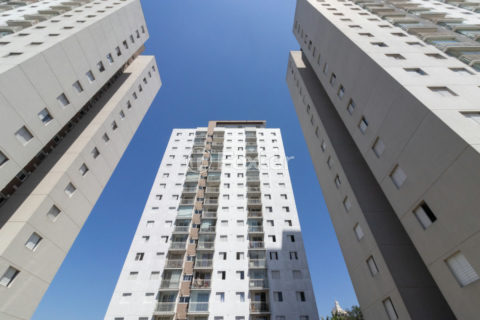 Image 65 - 1038266