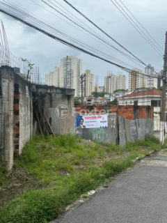 Image 6 - 1038286