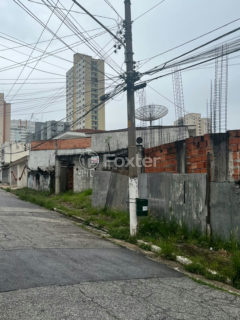 Image 4 - 1038286
