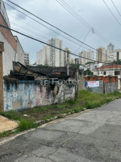 Image 7 - 1038286