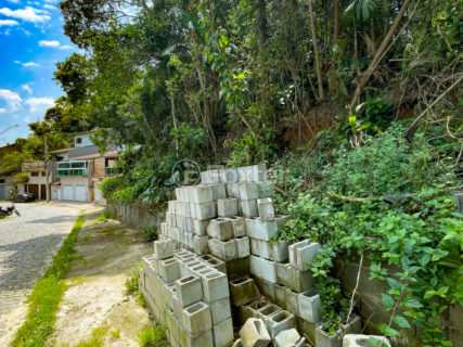 Image 6 - 1038307