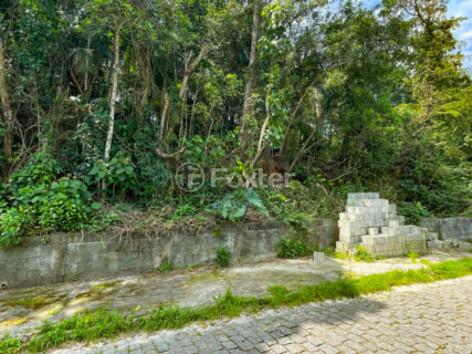 Image 3 - 1038307