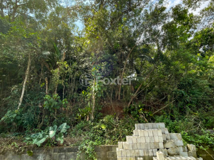Image 9 - 1038307