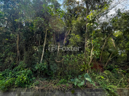 Image 8 - 1038307