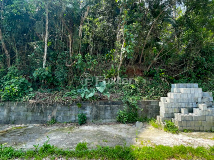 Image 11 - 1038307