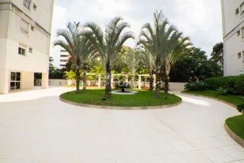 Image 42 - 1038366