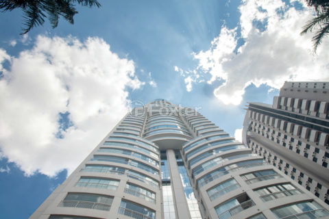 Image 47 - 1038397
