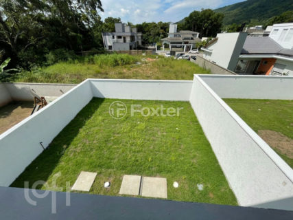Image 36 - 1038406