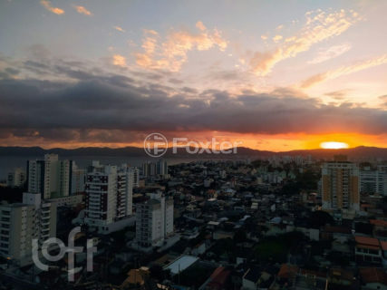 Image 28 - 1038458