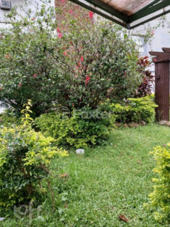 Image 6 - 1038481