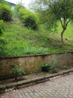 Image 2 - 1038481