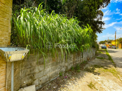 Image 9 - 1038523