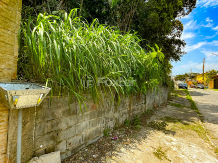 Image 8 - 1038523