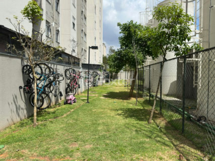 Image 24 - 1038526