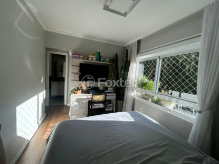 Image 31 - 1038580