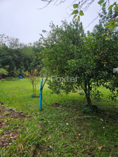 Image 17 - 1038748