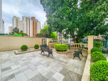 Image 30 - 1038942