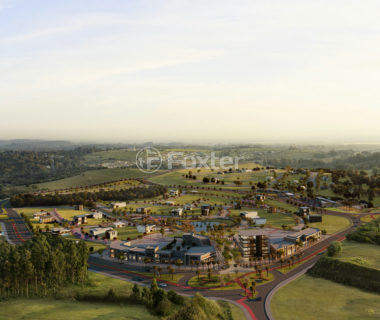 Image 5 - 1039134