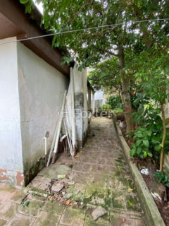 Image 11 - 1039154