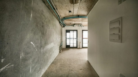 Image 36 - 1039266