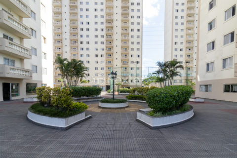 Image 32 - 1039275