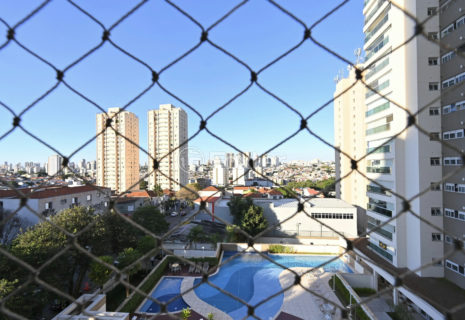 Image 31 - 1039307