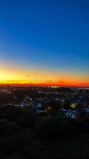 Image 8 - 1039348