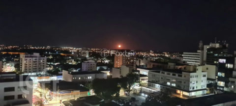 Image 14 - 1039372