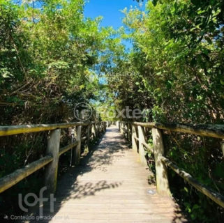 Image 9 - 1039722