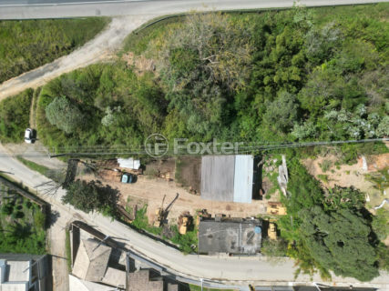 Image 8 - 1039870