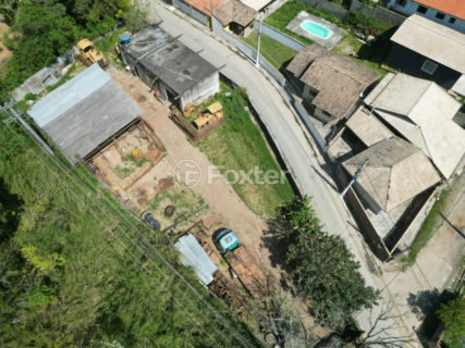 Image 9 - 1039870