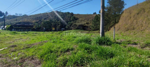 Image 4 - 1039873