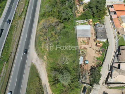 Image 9 - 1039873