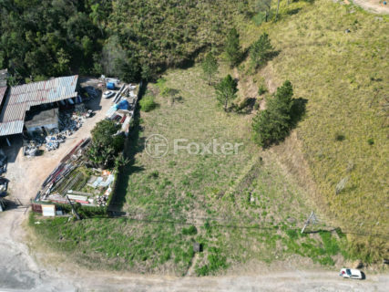 Image 7 - 1039873