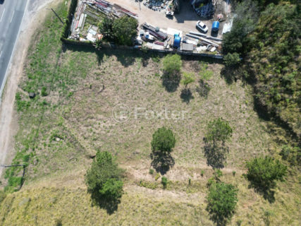 Image 10 - 1039873