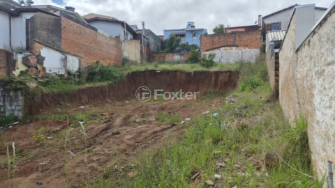 Image 2 - 1039984