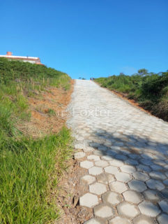 Image 8 - 1040023