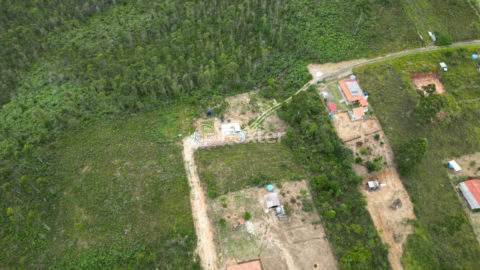 Image 22 - 1040023