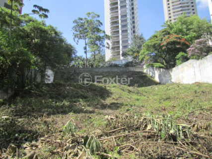 Image 5 - 1040238