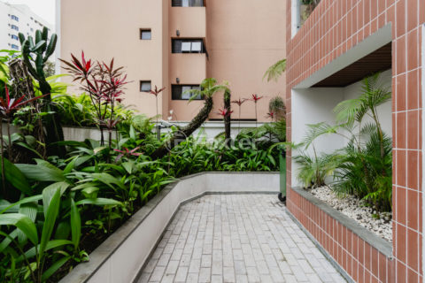 Image 35 - 1040255