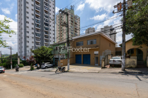 Image 40 - 1040256