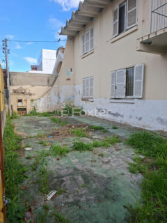 Image 2 - 1040332