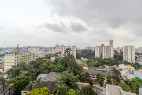 Image 24 - 1040620